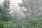 Kingsleylandscaping-irrigation-4.jpg; ?>